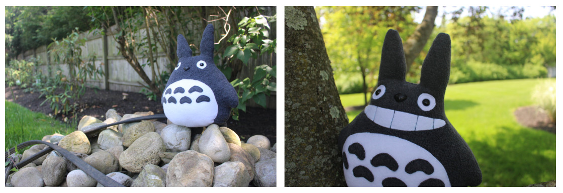 Totoro in the Yard